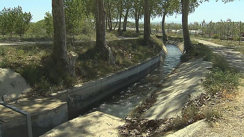 Els regants del Canal d'Urgell estimen pèrdues milionàries pel tancament del reg