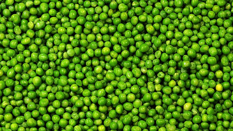 5 cosas que nos sabías de los guisantes: ¿verdura o legumbre?