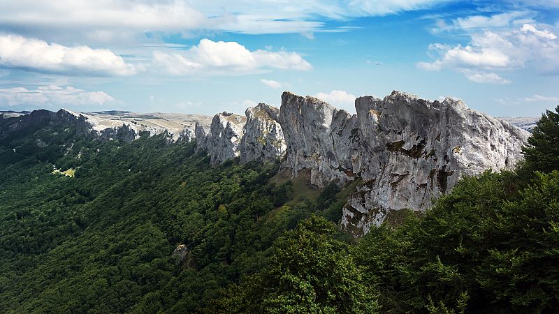 La selva tropical escondida en Navarra por la que te pierdes si vas sin gu�a �Descubre el Barranco del Obantzea!