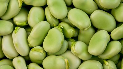 Lo que no sab�as de las habas y una receta sencilla y sabrosa que no te puedes perder