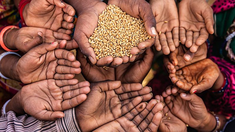 Aumenta la inseguridad alimentaria en todo el mundo: más de 250 millones de personas la sufrieron en 2022