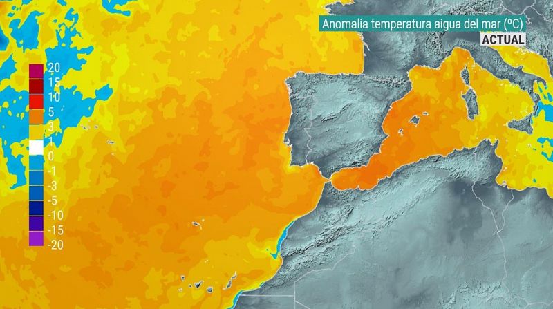 Els mars i oceans s'escalfen sobtadament a les portes del "Nio"