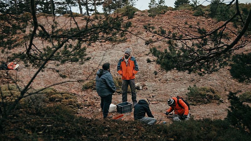 Los Pirineos, el hogar de los últimos dinosaurios en Europa