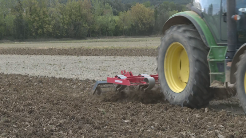 La pedregada malmet la poca collita que hi ha per la sequera