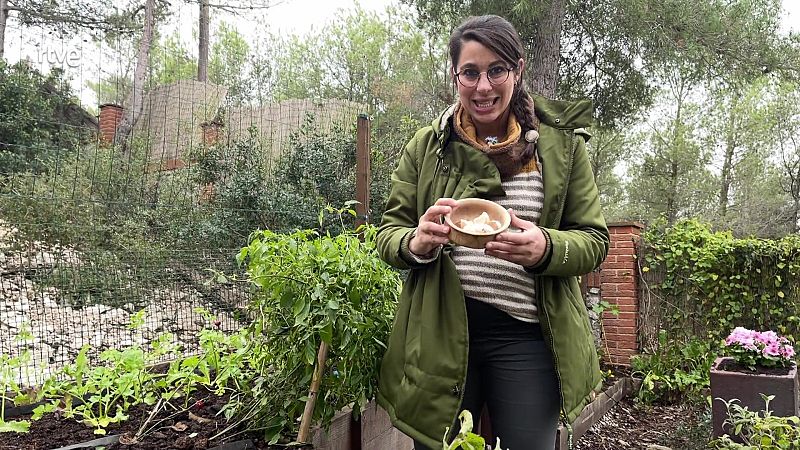 Un fertilitzant amb closques d'ou