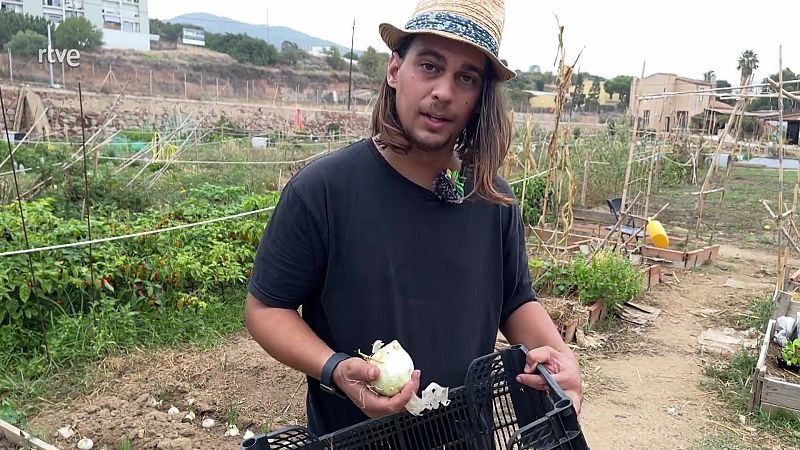 El secret d'una bona calçotada feta a casa