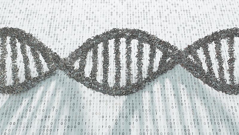 Publican el primer borrador del pangenoma humano: un mapa genético clave para el futuro tratamiento de enfermedades