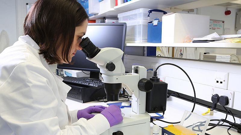 Un amplio estudio del genoma de 7.000 tumores desvela puntos débiles de las metástasis