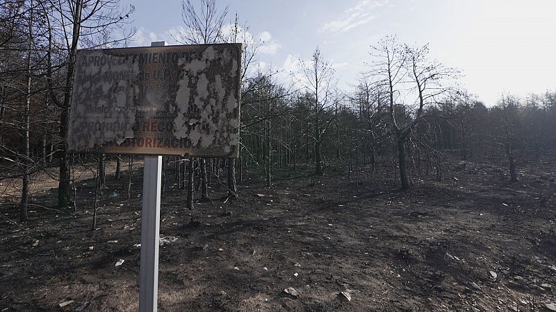 'En Portada' analiza qué hay 'Detrás del fuego' en España