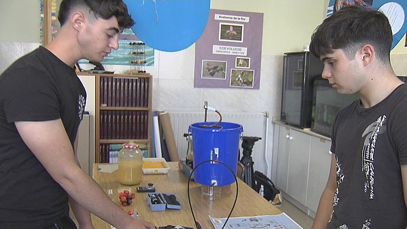 Unos estudiantes crean biocombustible a partir de desechos de naranjas