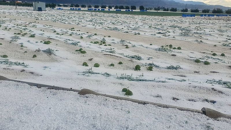 El granizo arrasa los cultivos de sandía en Lorca, Murcia, donde se siguen evaluando las pérdidas
