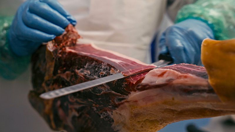 Ciencia y jamn: Una relacin de sabor y conocimiento que transforma la industria porcina
