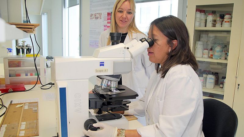 La mejora de los salarios es una de las claves para combatir la escasez de mano de obra, según un estudio de la CES