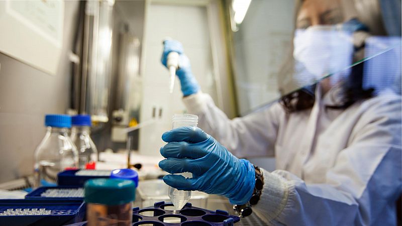 Científicos españoles investigan células madre modificadas genéticamente para luchar contra el cáncer