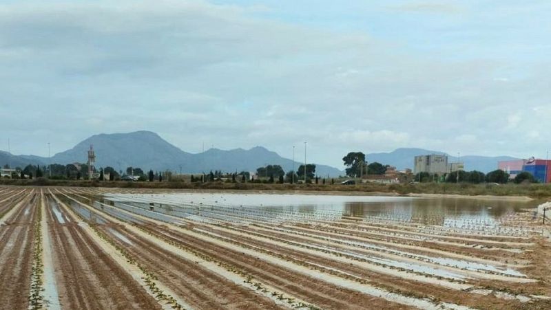 Lluvias torrenciales en plena sequía, ¿alivian el problema?