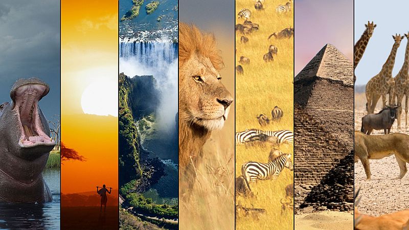 D�a de �frica: 8 curiosidades que quiz� no sab�as del continente