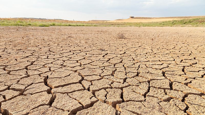 Los agricultores golpeados por la sequía venden sus derechos de riego entre denuncias de "mercadeo"