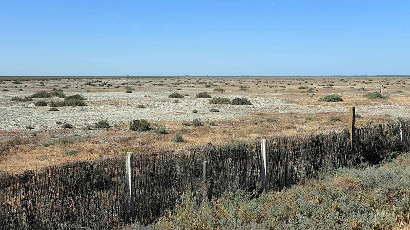 La Unesco advierte que la ley de Doñana de la Junta "amenaza" su estatus de Patrimonio de la Humanidad