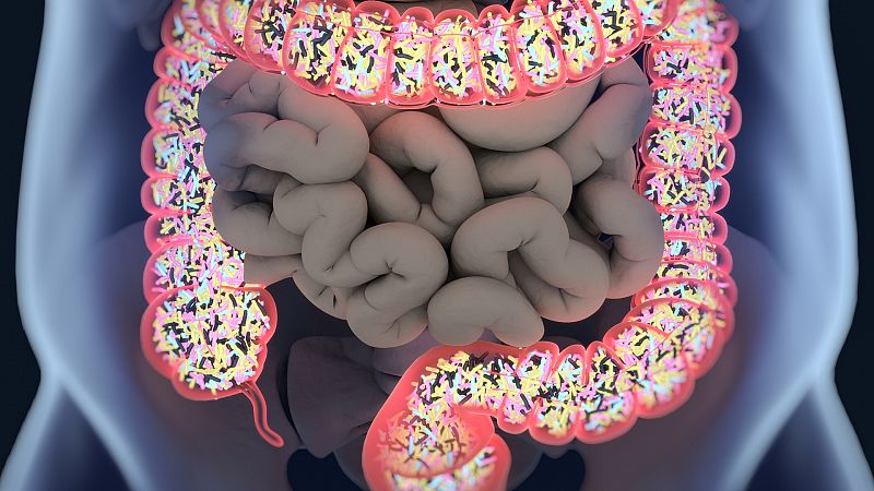 Día Mundial de la Microbiota Intestinal: ¿por qué es tan importante para nuestro sistema digestivo?