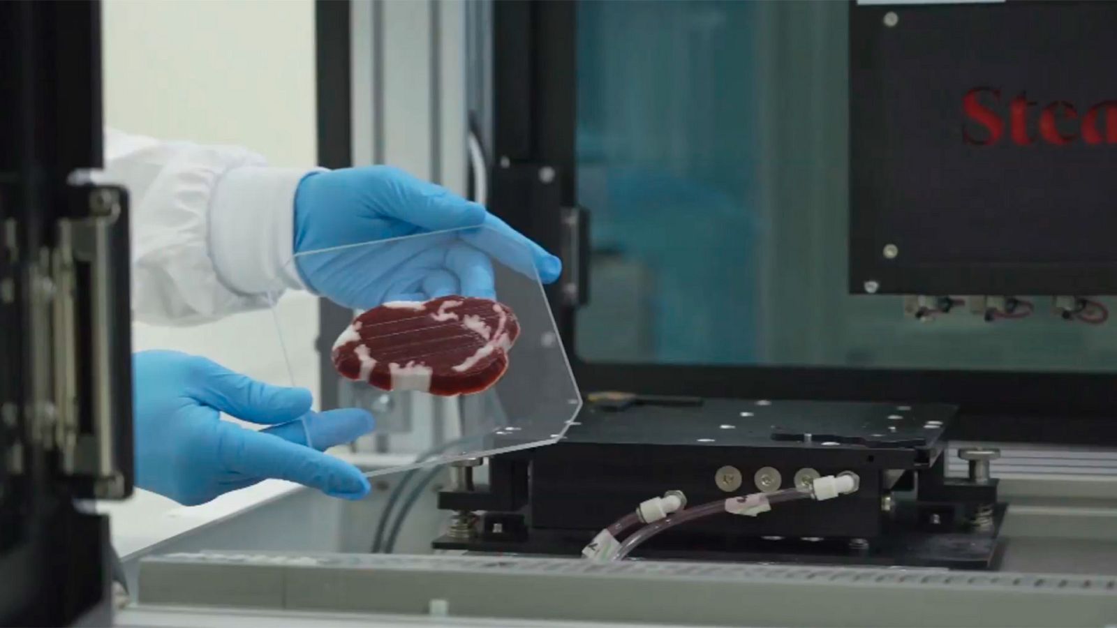 El escarabajo verde - Muslo o pechuga, avance