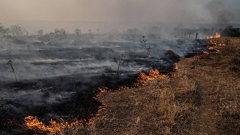 La 'Comisión de la Tierra' alerta de que la humanidad ha cruzado la mayoría de las líneas rojas: "Estamos en peligro"