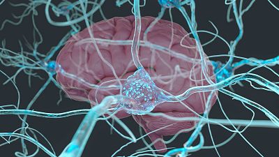 Las cuñas de RNE - Síndrome de Tourette: una enfermedad incapacitante en Memoria de Delfín - Escuchar ahora