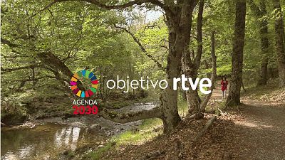 RTVE celebra el Día Mundial del Medioambiente y de los Océanos