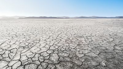 Las cuñas de RNE - Desertificación: más del 50% de los suelos agrícolas del planeta ya están degradados en Memoria de Delfín - Escuchar ahora