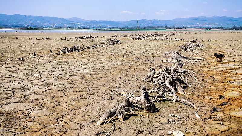 Día de la Desertificación y la Sequía