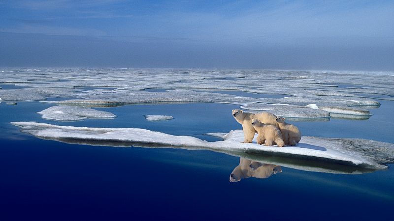 El Ártico podría perder todo su hielo por primera vez entre 2030 y 2050