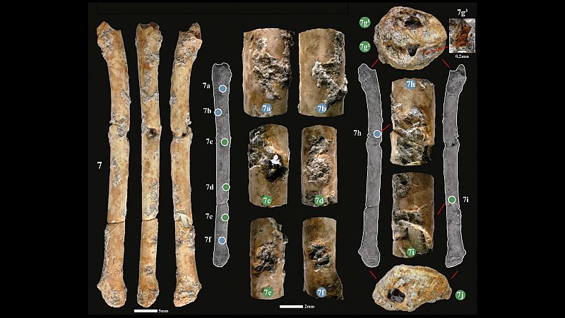 Descubren en Israel los instrumentos más antiguos de Oriente Próximo, con más de 12.000 años