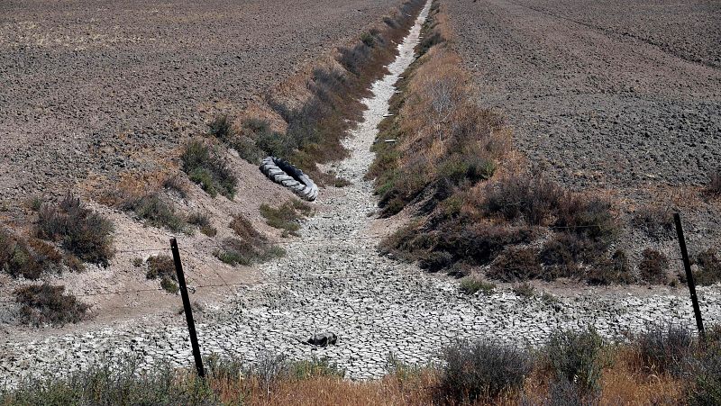 La Confederación Hidrográfica del Guadalquivir ve "un engaño" la ley de regadíos de Doñana