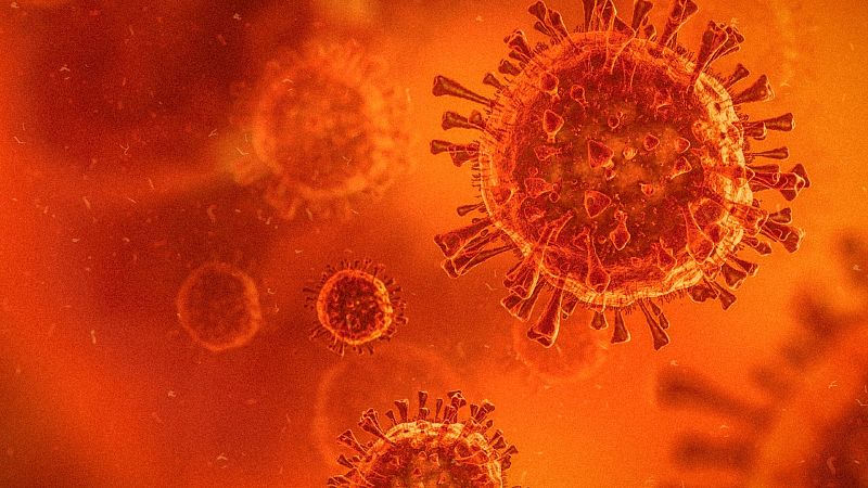 Cules son los virus ms peligrosos en la historia de la humanidad?