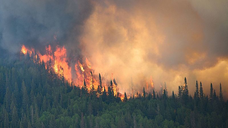 Las lluvias y las bajas temperaturas ayudan a combatir los más de 400 incendios forestales de Canadá