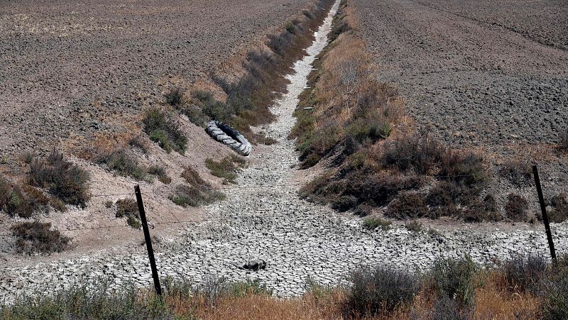 El presidente del Consejo de Participación pide coraje a PP y Vox para retirar la ley de regadíos: "Doñana está seca"