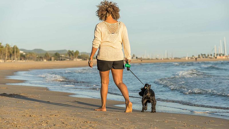 Ecologistas en Acción mantiene 48 banderas negras y denuncia playas caninas que son un "arenero" para mascotas