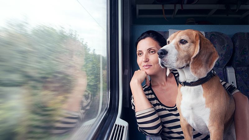 Renfe también permitirá perros de hasta 40 kilos en los AVE entre Madrid, Alicante y Valencia