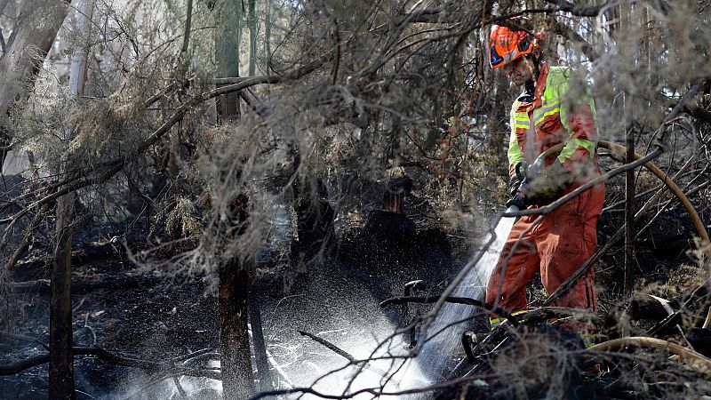 El Gobierno declara zona catastrófica los territorios afectados por 80 episodios de incendios y desastres naturales