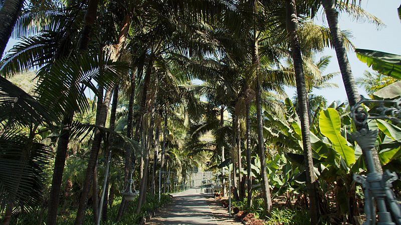 Los dos magnficos jardines de Arucas, en Gran Canaria, donde pasear y evocar la historia de la isla