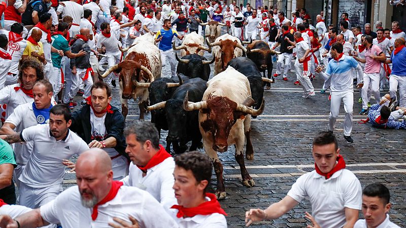 Miura, Fuente Ymbro, Jandilla..., consulta las ganaderas que protagonizarn los encierros de San Fermn 2023