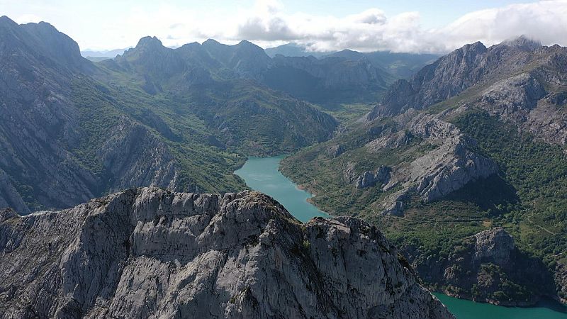Descubre el bisonte europeo en El valle de Anciles