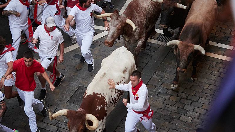 Pamplona recibe a los primeros novillos y toros de San Fermn de 2023
