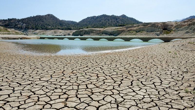 España recibirá 81 millones de euros de los fondos de reserva de la UE para los agricultores afectados por la sequía