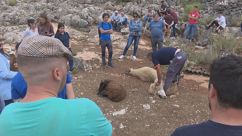 Los pastores de la 'generacin Z': "El que se cra y nace en el campo al final lo lleva en la sangre"