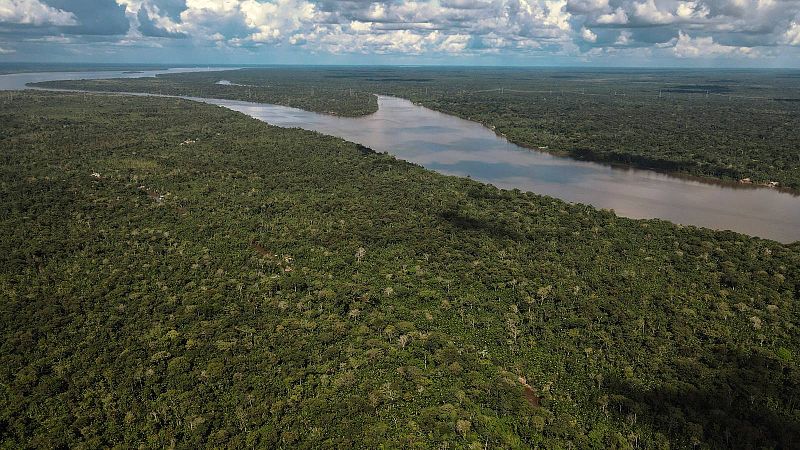 El cambio climático y la deforestación, las mayores amenazas de la selva amazónica