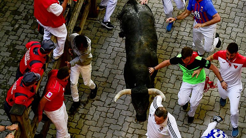 As te hemos contado el octavo encierro de San Fermn 2023: cinco traslados por traumatismos en la vistosa carrera de los Miura