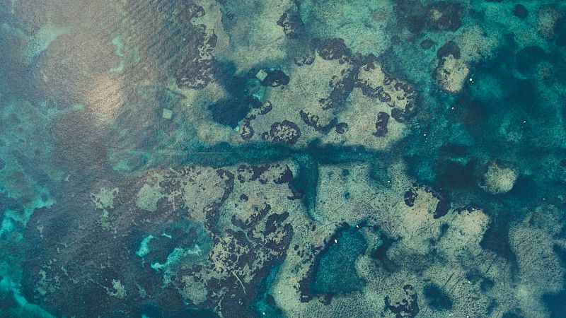 El mar Mediterráneo aumenta de temperatura y salinidad en todas sus capas de profundidad
