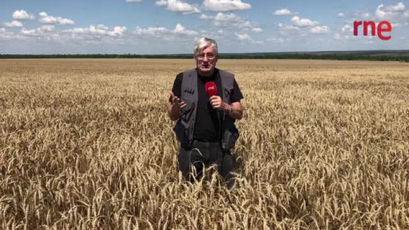 Rusia suspende el acuerdo de exportación de grano ucraniano a través del mar Negro