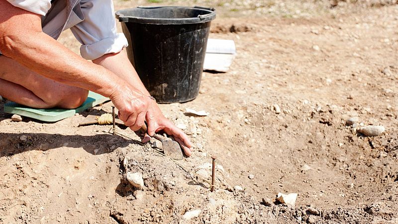 Hallan vrtebras completas de un dinosaurio terpodo en la sierra de la Demanda, en Burgos