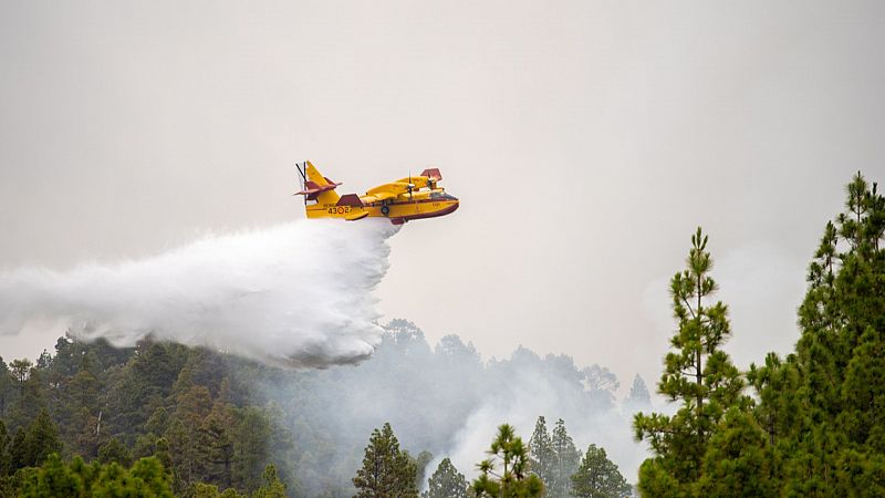 El incendio de La Palma evoluciona "favorablemente" y se da por estabilizado en la zona de El Reventón